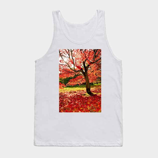 Autumn Acer Tree Westonbirt Arboretum Cotswolds Gloucestershire Tank Top by AndyEvansPhotos